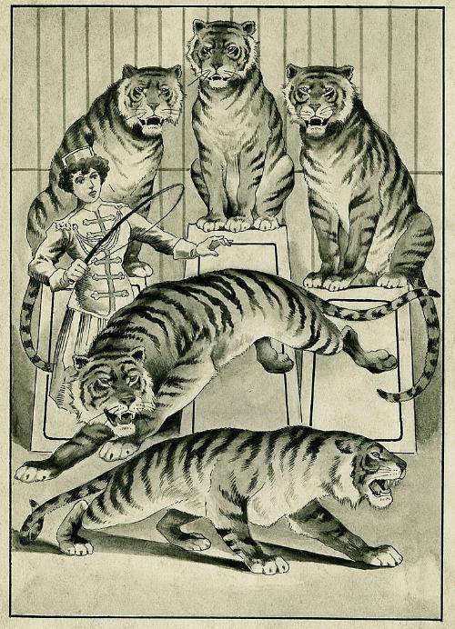 Tiger Act