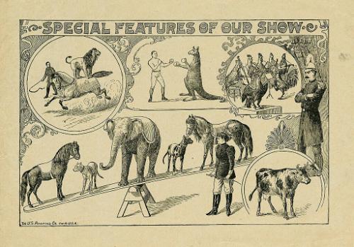Special Features of Our Show