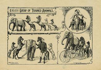 $10,000 Groups of Trained Animals