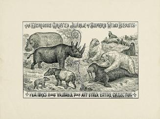 An Enormous Grated Jungle of Superb Wild Beasts