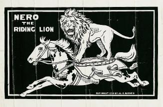 Nero the Riding Lion