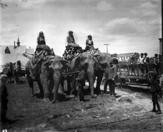 Elephants with Riders