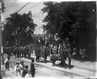 Elephants in Parade