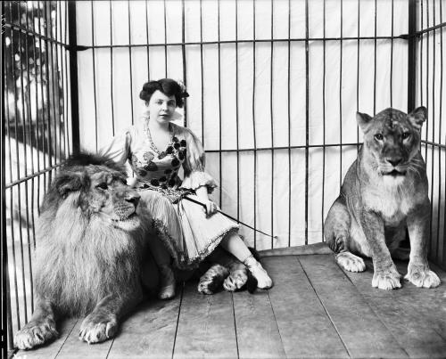 Madam Schell and Lions in Circus Wagon
