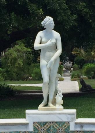 New view after restoration