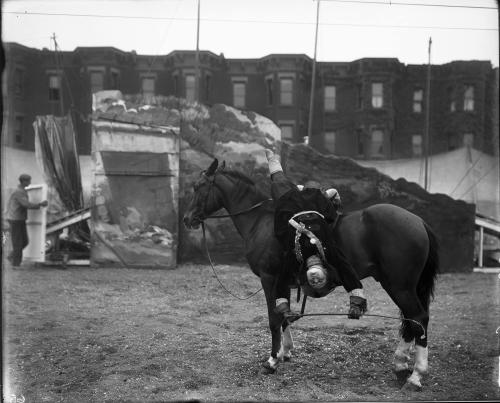 Female Equestrian Dressed as Cossack on Horse