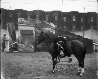 Female Equestrian Dressed as Cossack on Horse