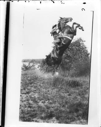 Rider on Rearing Horse