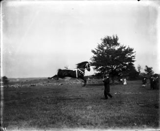 Hugo Herzog and Performing Horse