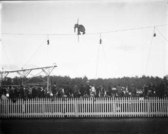 The Calverts Wire Act