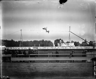 Cicardo High Wire Act