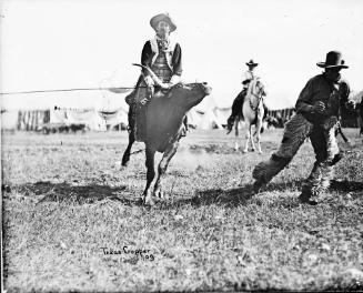 Portrait of Tex Cooper on Steer