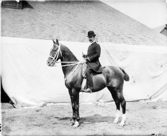 Portrait of Mr. Herzog on Horseback