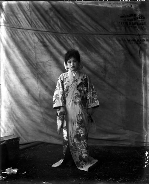 Portrait of a Japanese Lady