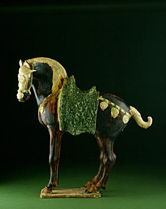 Saddled horse
