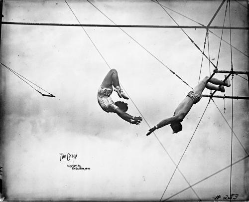 The Catch