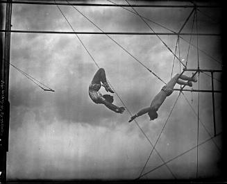 The Catch