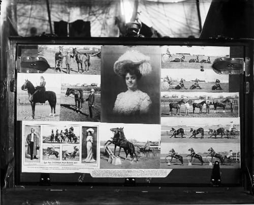 Collage of PhotosMr. and Mrs. Ray Thompson