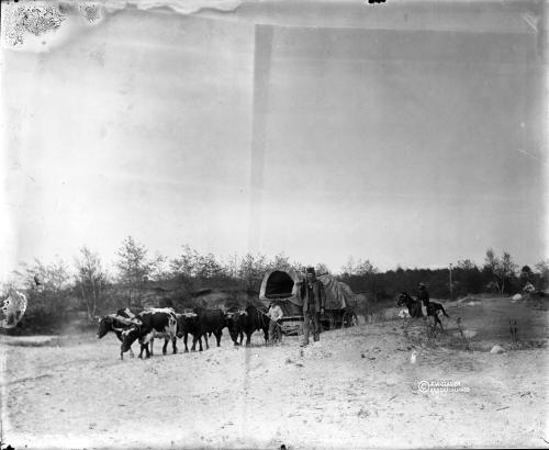 Covered Wagons