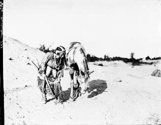 On the Trail