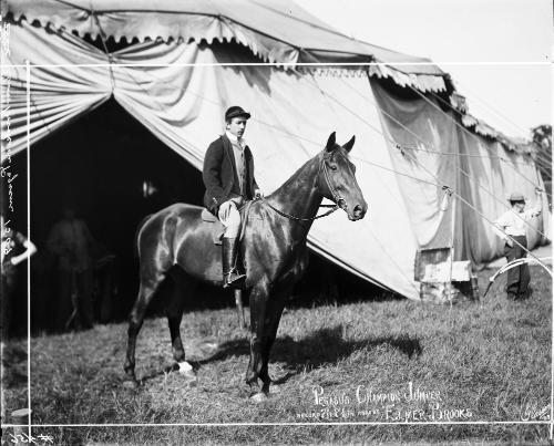 Elmer Brooks on Pegasus