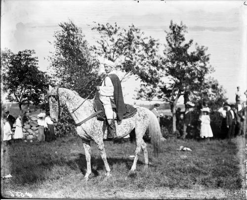 Arab Chief