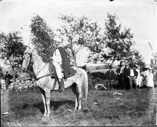 Arab Chief