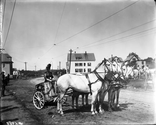 Chariot Wagon