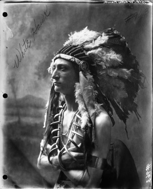 White Hawk