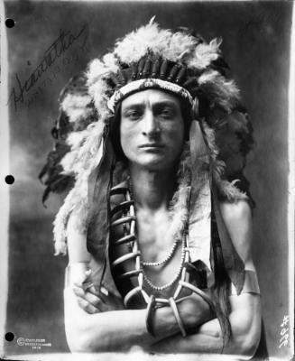 White Hawk