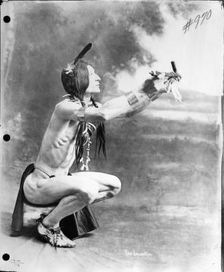 White Hawk