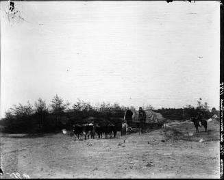 Covered Wagon