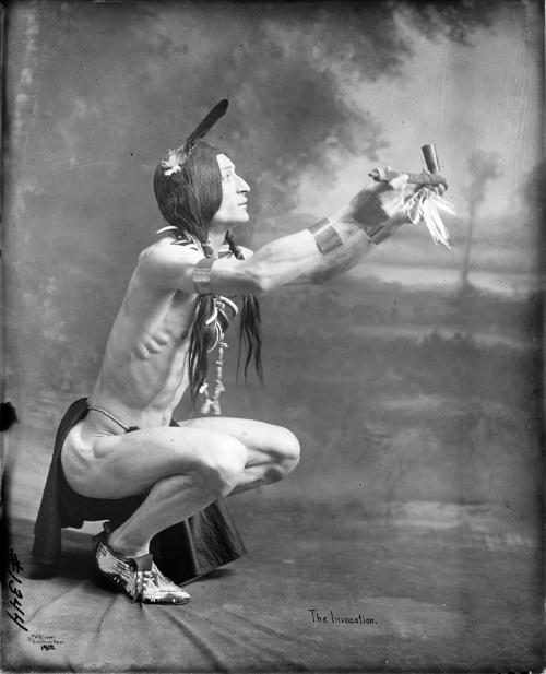 White Hawk