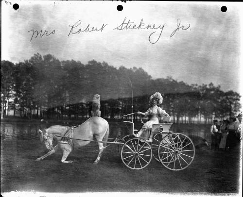 Mrs. Robert Stickney