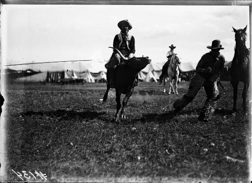 Tex Cooper