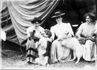 Performing Dogs
