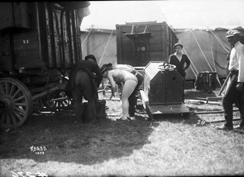 Performers