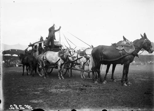 Mules
