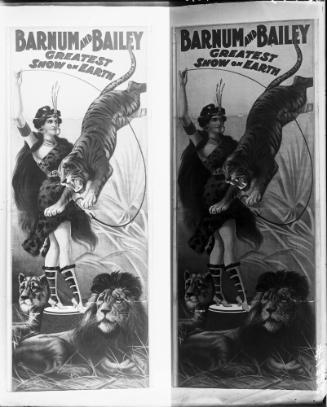 Tiger Lady poster