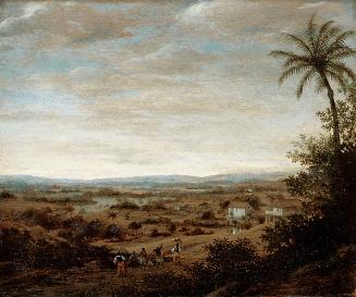 Brazilian Landscape