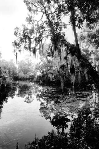 Three Sisters, Crystal River