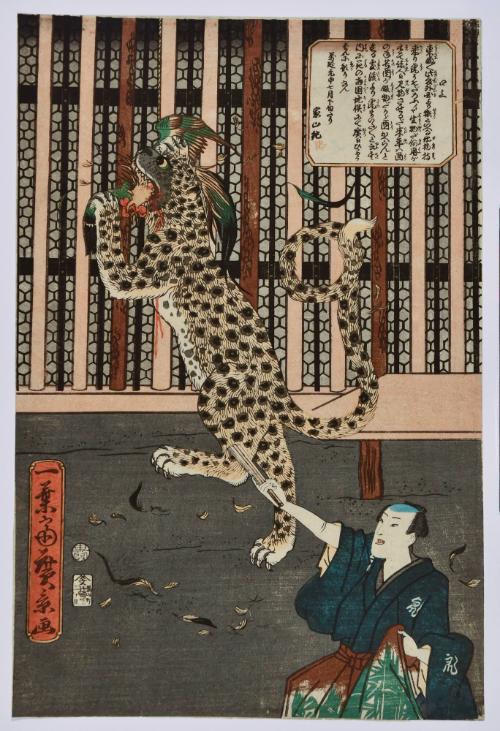An Exhibition of a Tiger (Leopard)