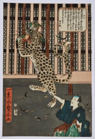 An Exhibition of a Tiger (Leopard)