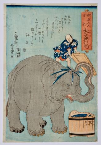 Imported by Europeans: The Great Elephant