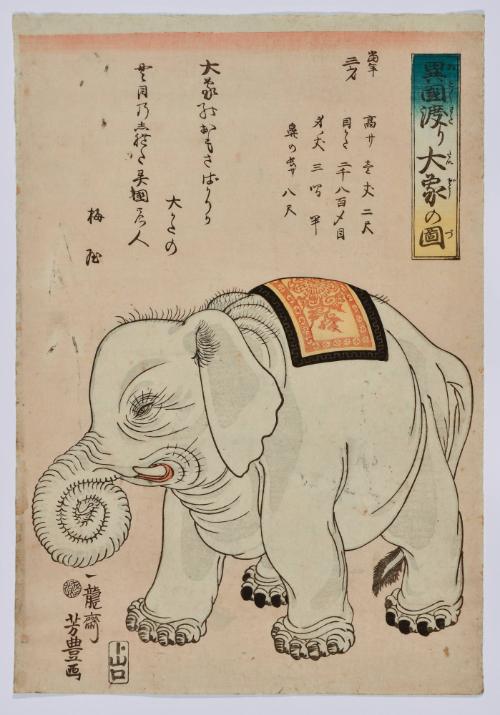 Large Elephant from Abroad