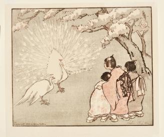 The White Peacock