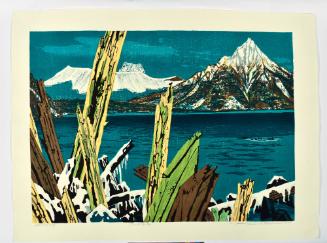 Winter at Lake Shikotsu