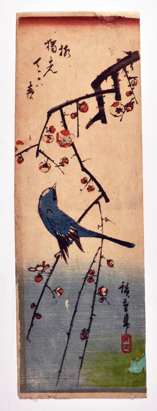 Flycatcher on a plum branch