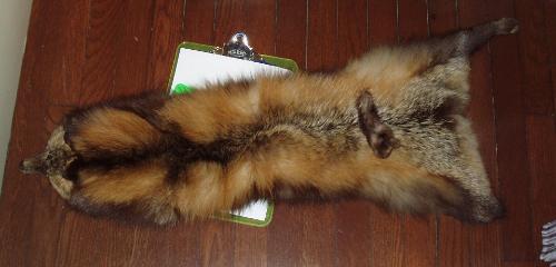 Fox fur