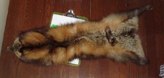 Fox fur